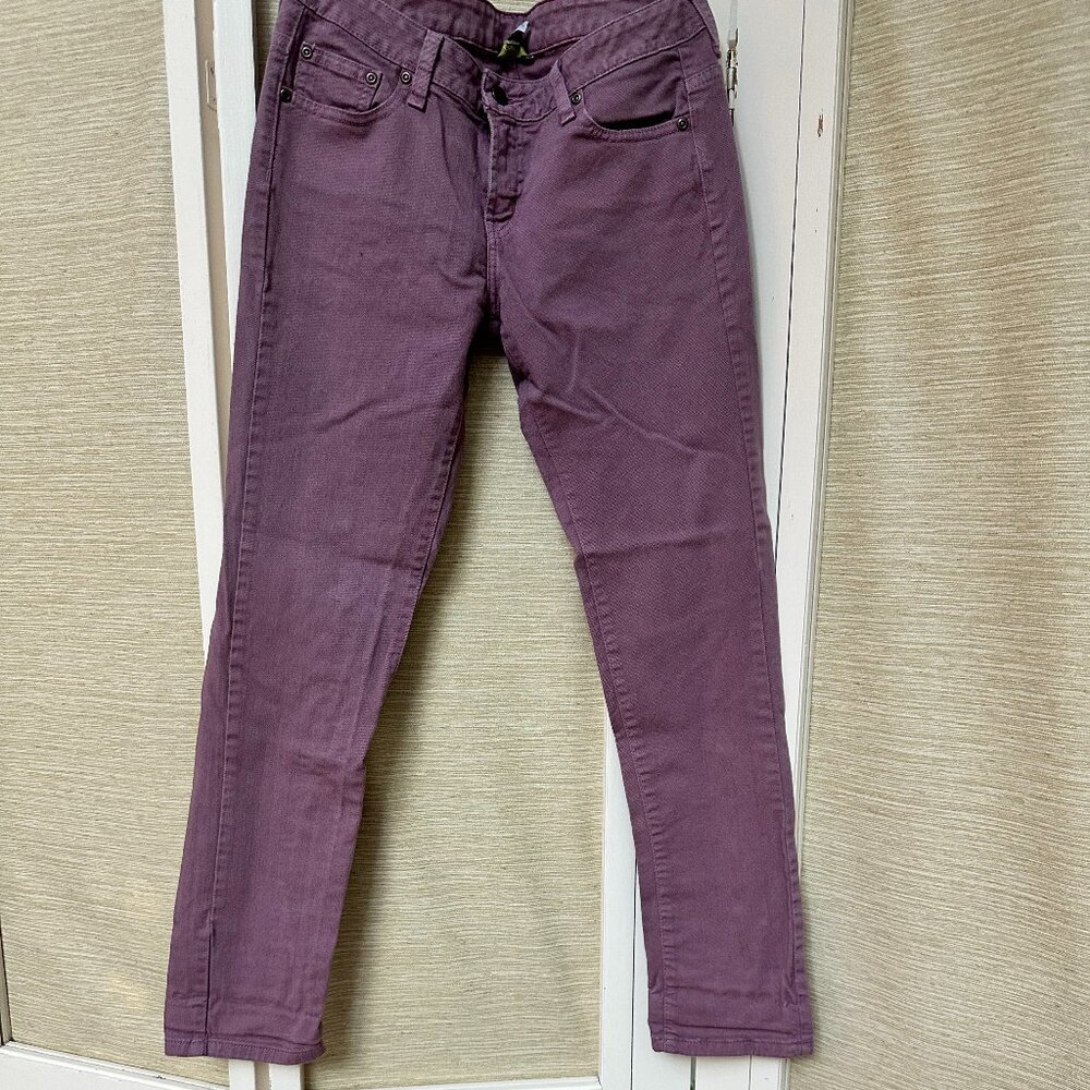 Garnet Hill Plum Colored Denim Jeans Straight Leg Petite Women's 6